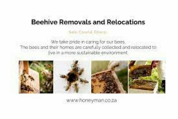 Recensione Di Bee Naturals